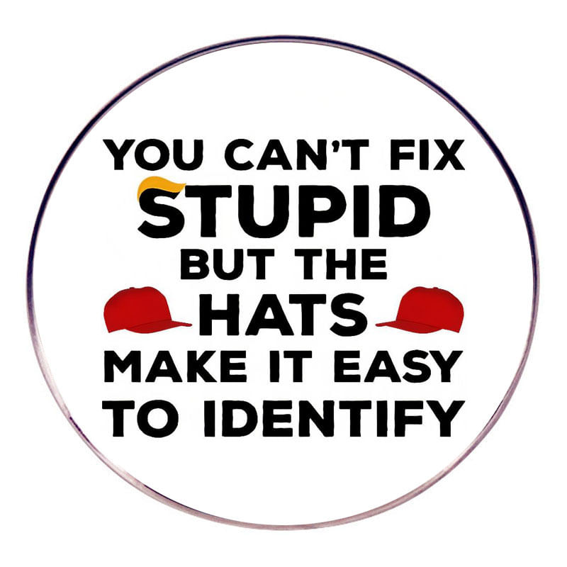 Brooch Pins Funny Quote Round Alloy Badge “you Can't Fix Stupid”