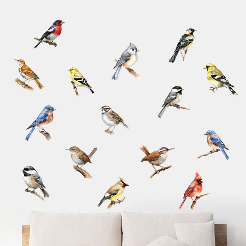 Adesivos De Parede: Pássaros Coloridos, Pássaros Canoros E Papagaios Variados
