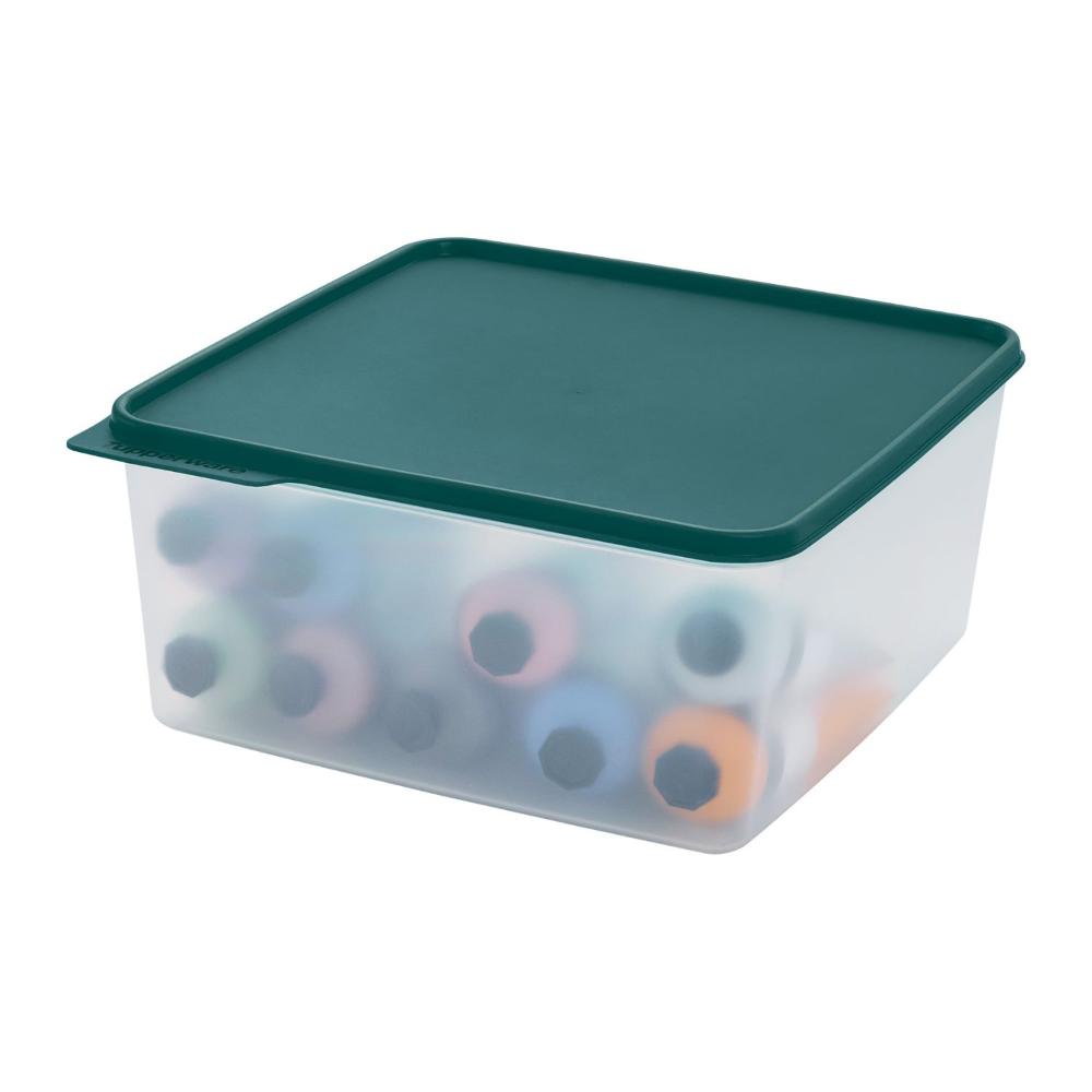 Pote Hermético Tupperware Basic Line Transparente 5l