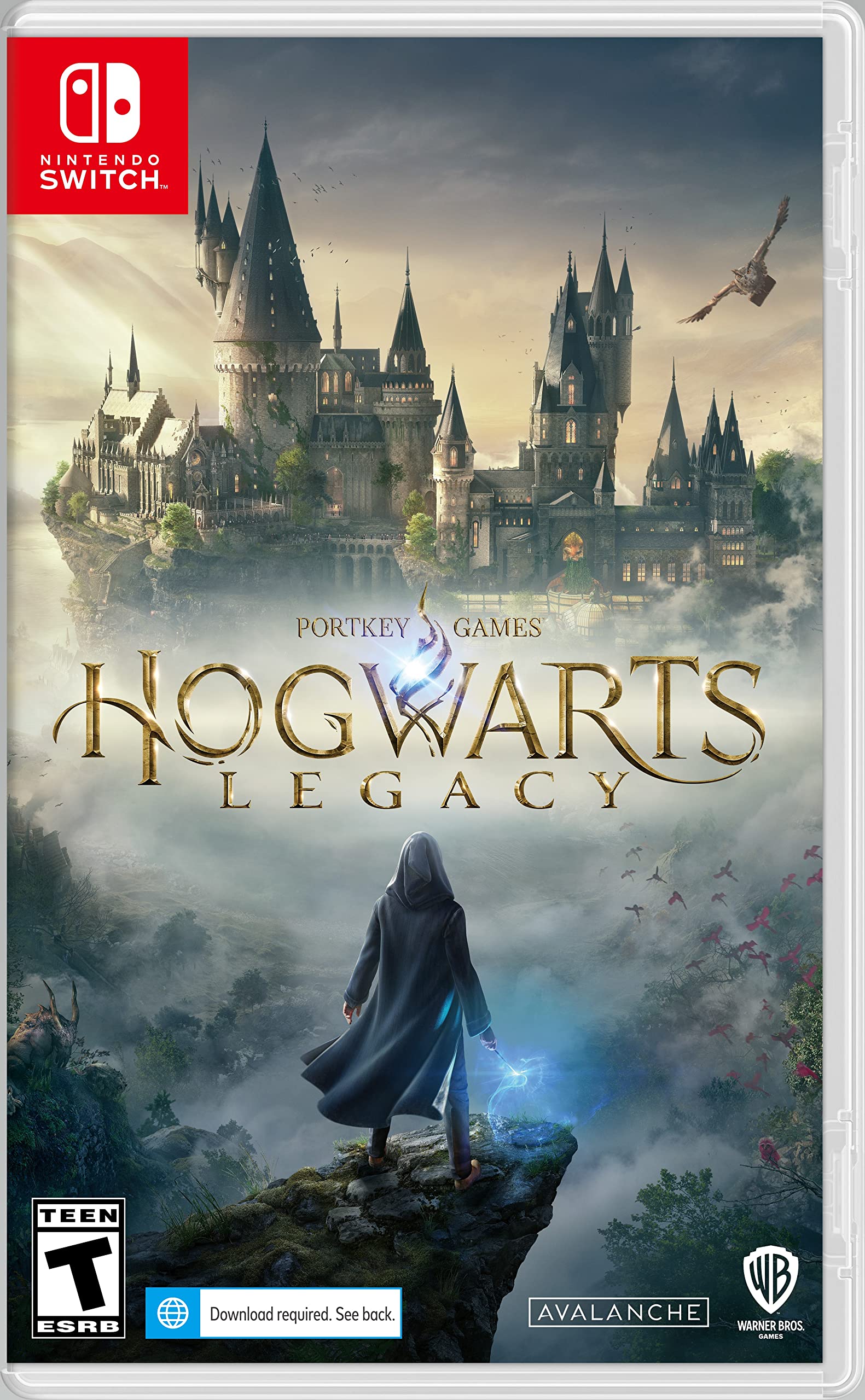 Jogo Eletrônico Nintendo Switch Hogwarts Legacy
