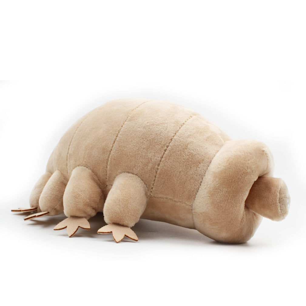 Boneca De Brinquedo De Pelúcia Lifelike Sea Creature Tardigrade Water Bear 20 Cm