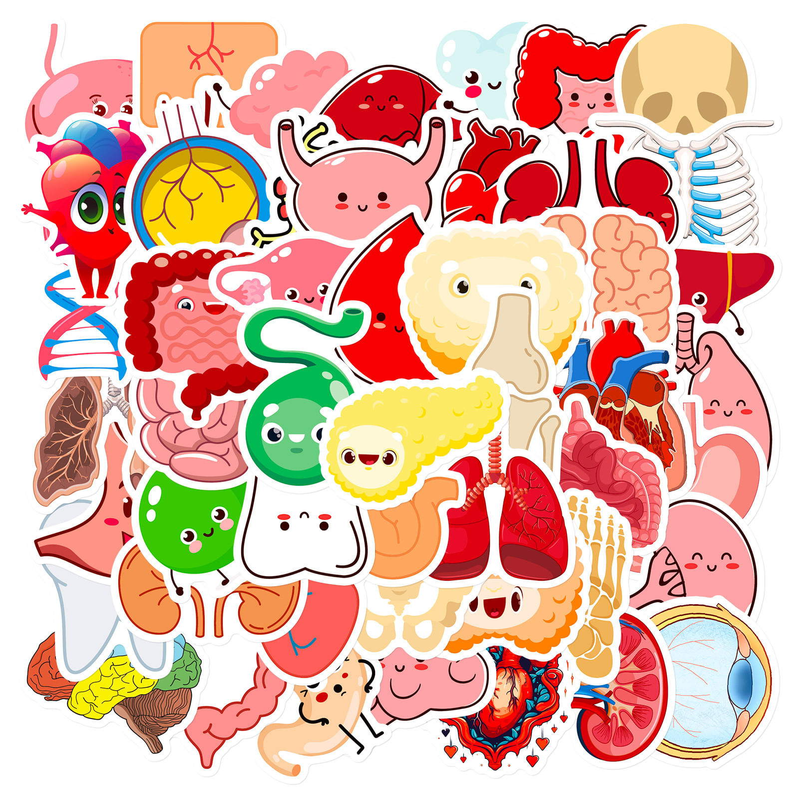Pacote De Adesivos Educational Cute Human Organ Anime Water 50 Unidades