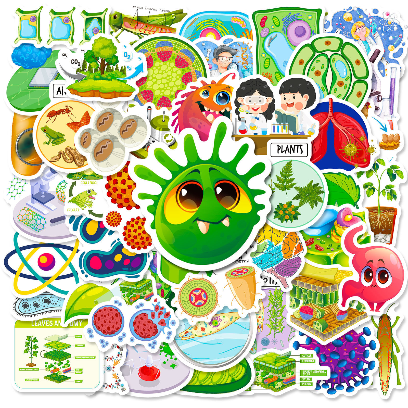Pacote De Adesivos Cartoon Biological Human Organ Science 50 Unidades