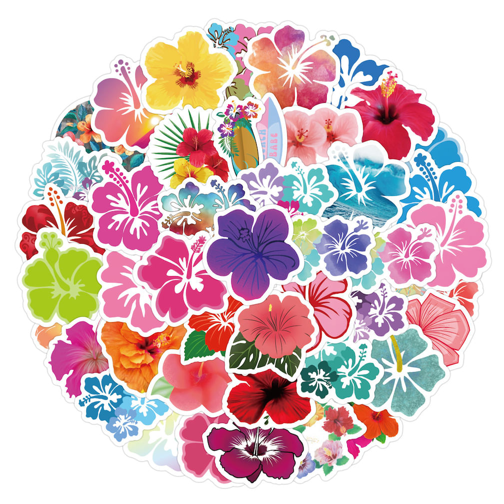 Pacote De Adesivos Hibiscus Flower Anime 60 Unidades Decorativas De 5 A 7 Cm