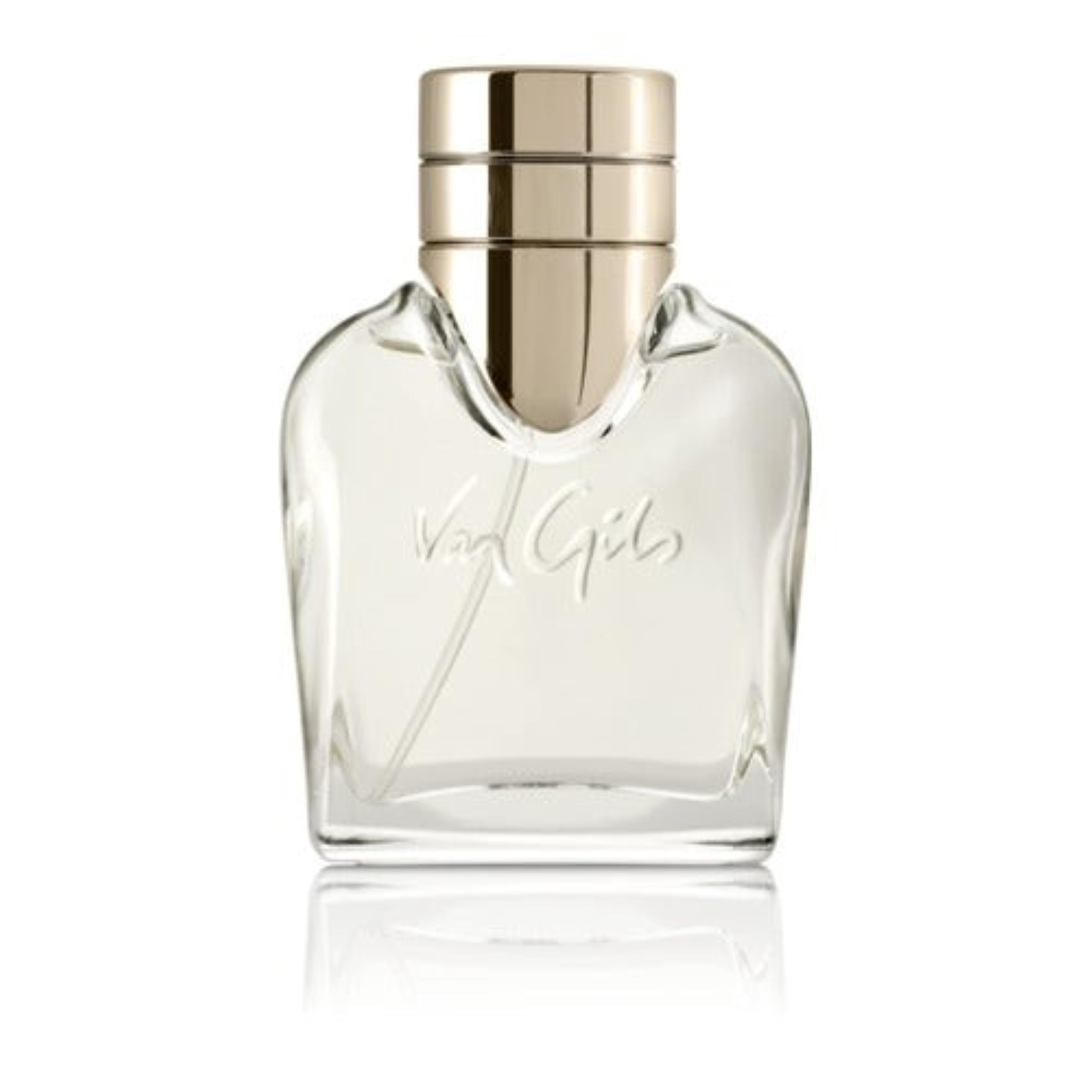 Perfume Van Gils Basic Instinct Edt 40ml Para Homens