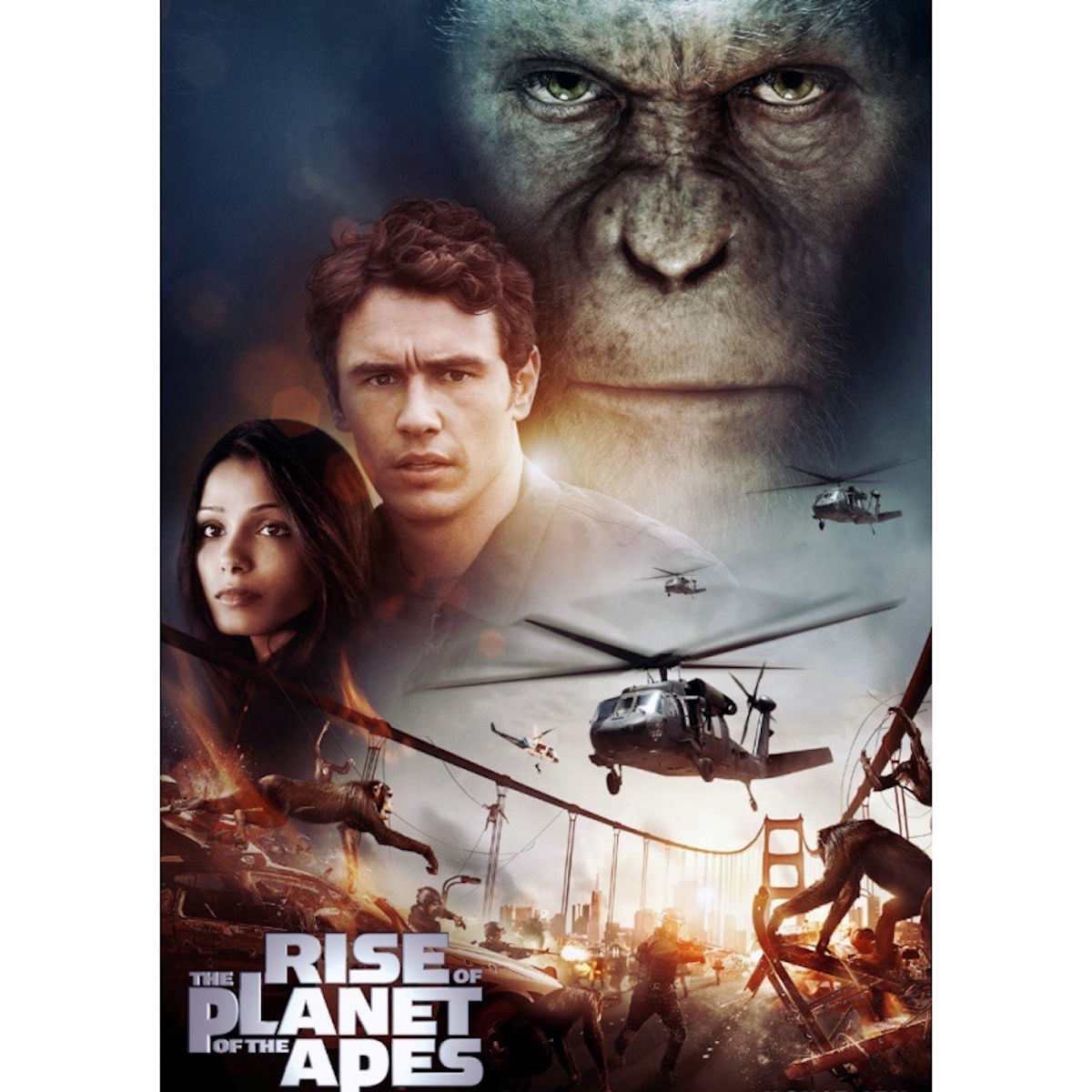 Poster De Arte De Parede Picture Rises Of Plants Of Apes Anime Art