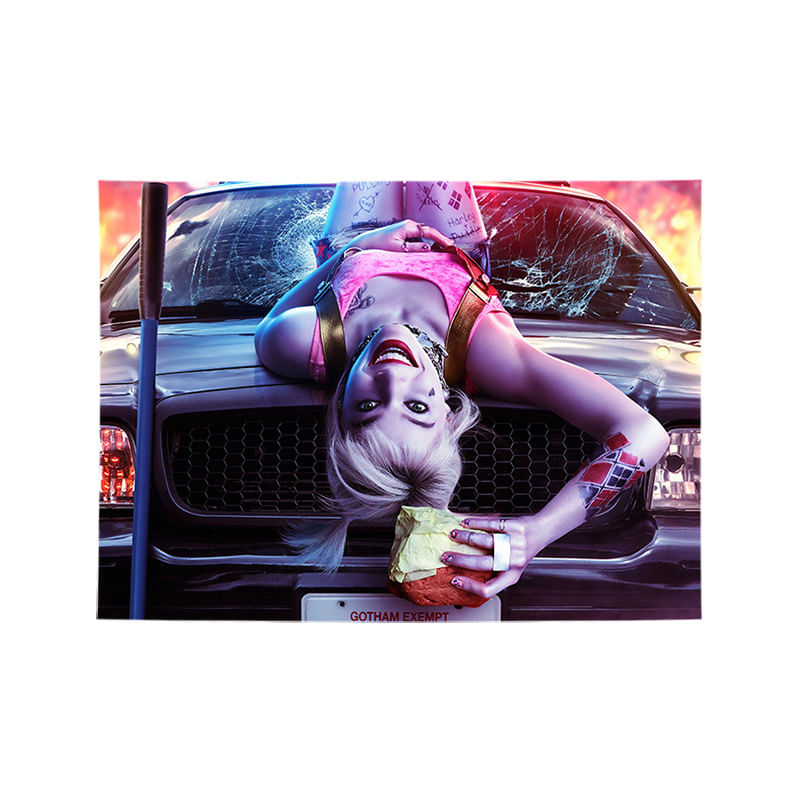 Tapeçaria Harleys Quinns Wall Aesthetic 100x75cm, Microtecido