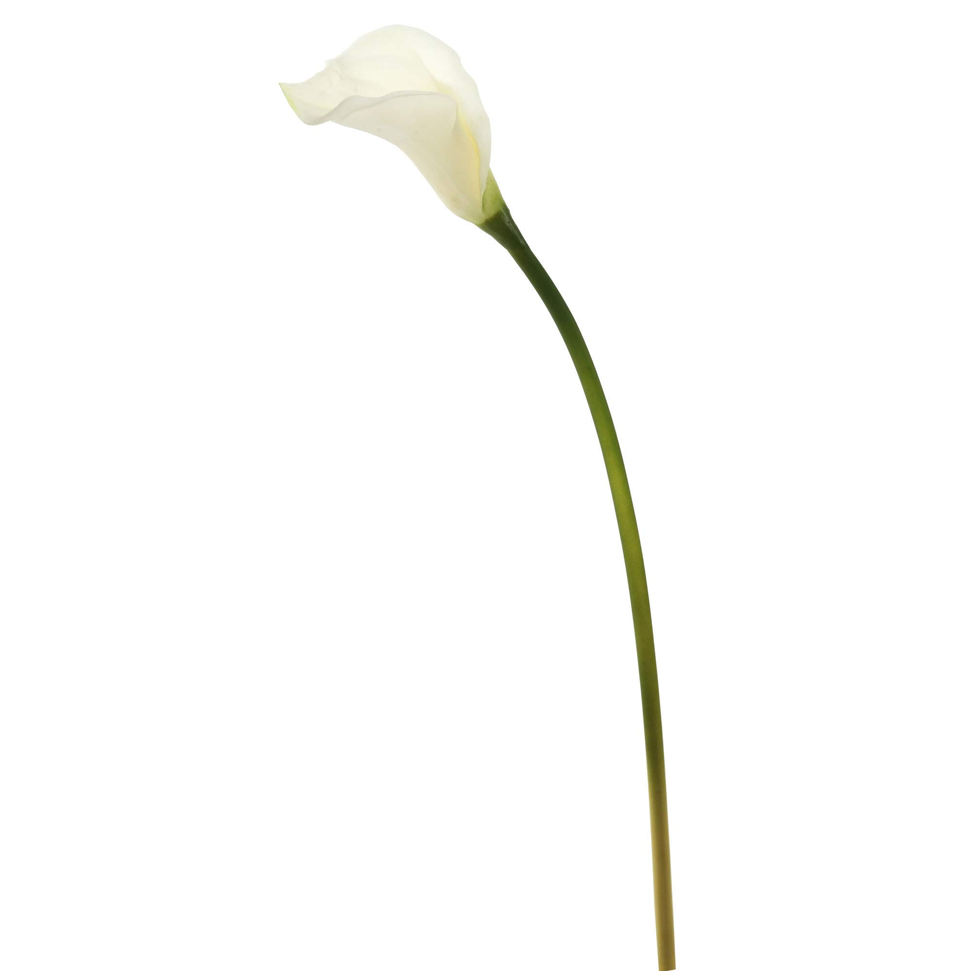 Pacote Com 6 Lírios De Calla Brancos Artificiais Vickerman