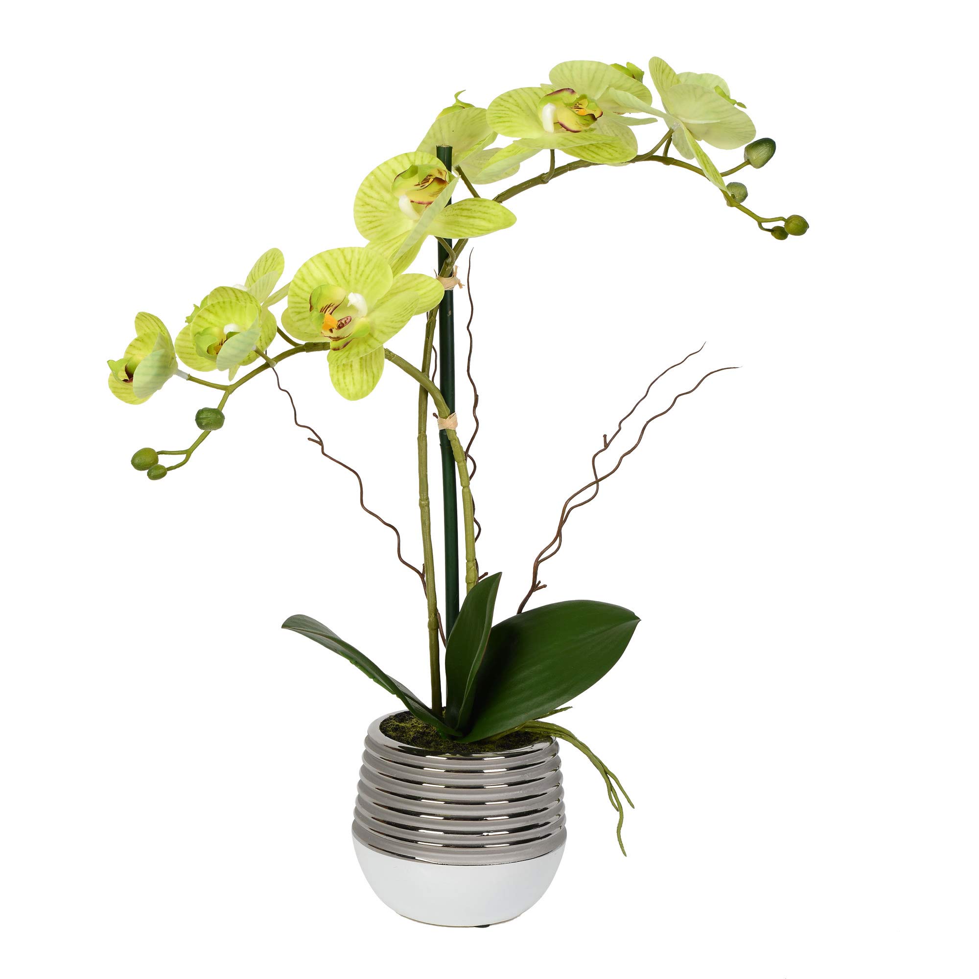 Orquídea Phalaenopsis Verde Artificial Vickerman Everyday De 49.5 Cm