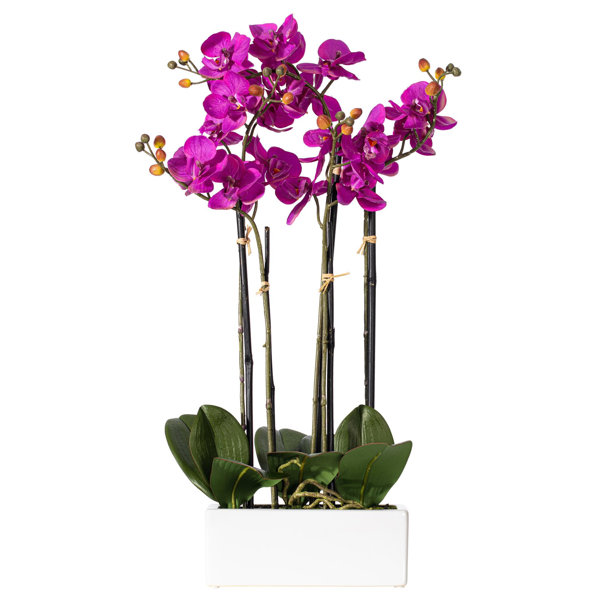 Orquídea Artificial Morada Vickerman Everyday 21" Con Maceta De Cerámica