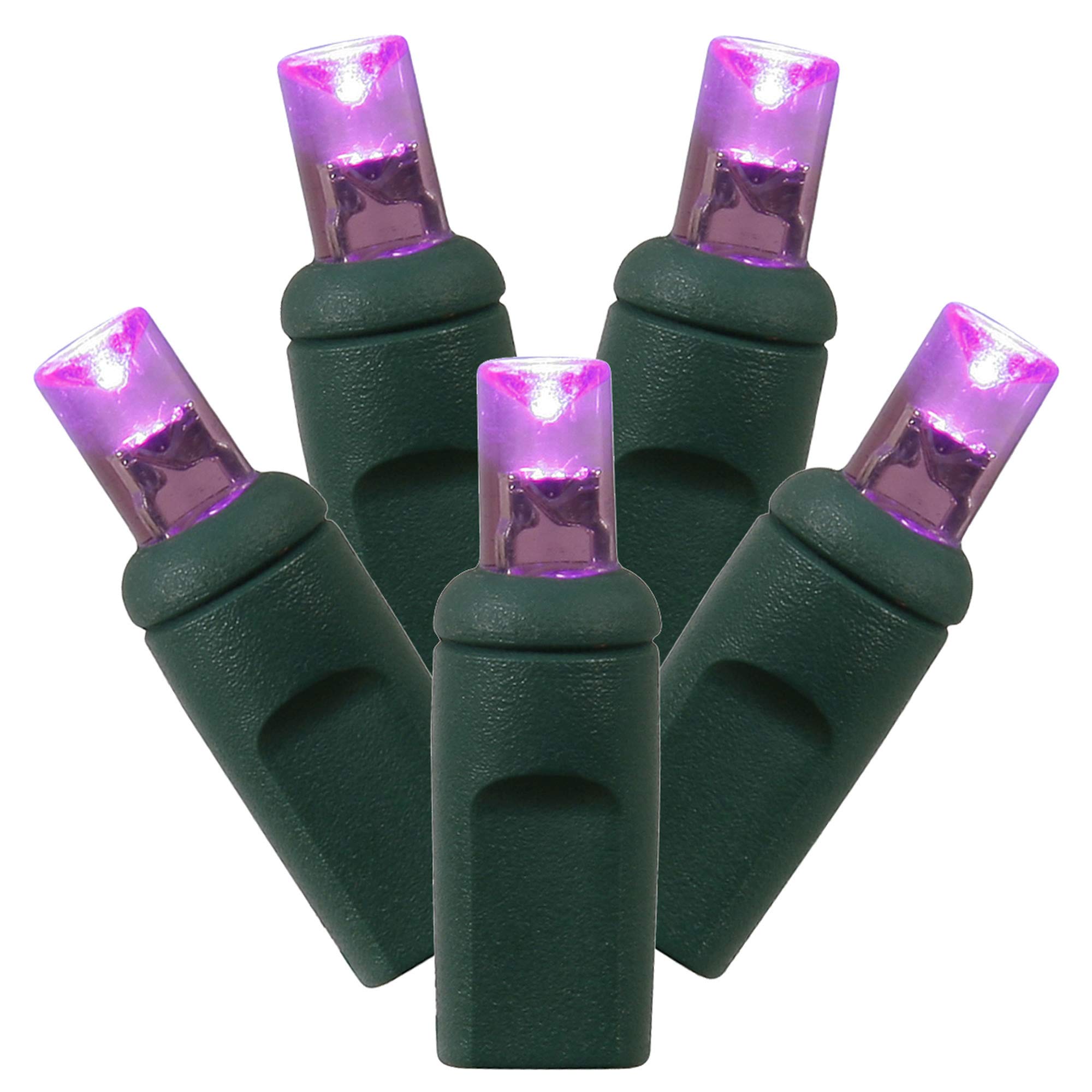 Conjunto De Luces Led Vickerman X6g6106 100 Ángulo Amplio Morado
