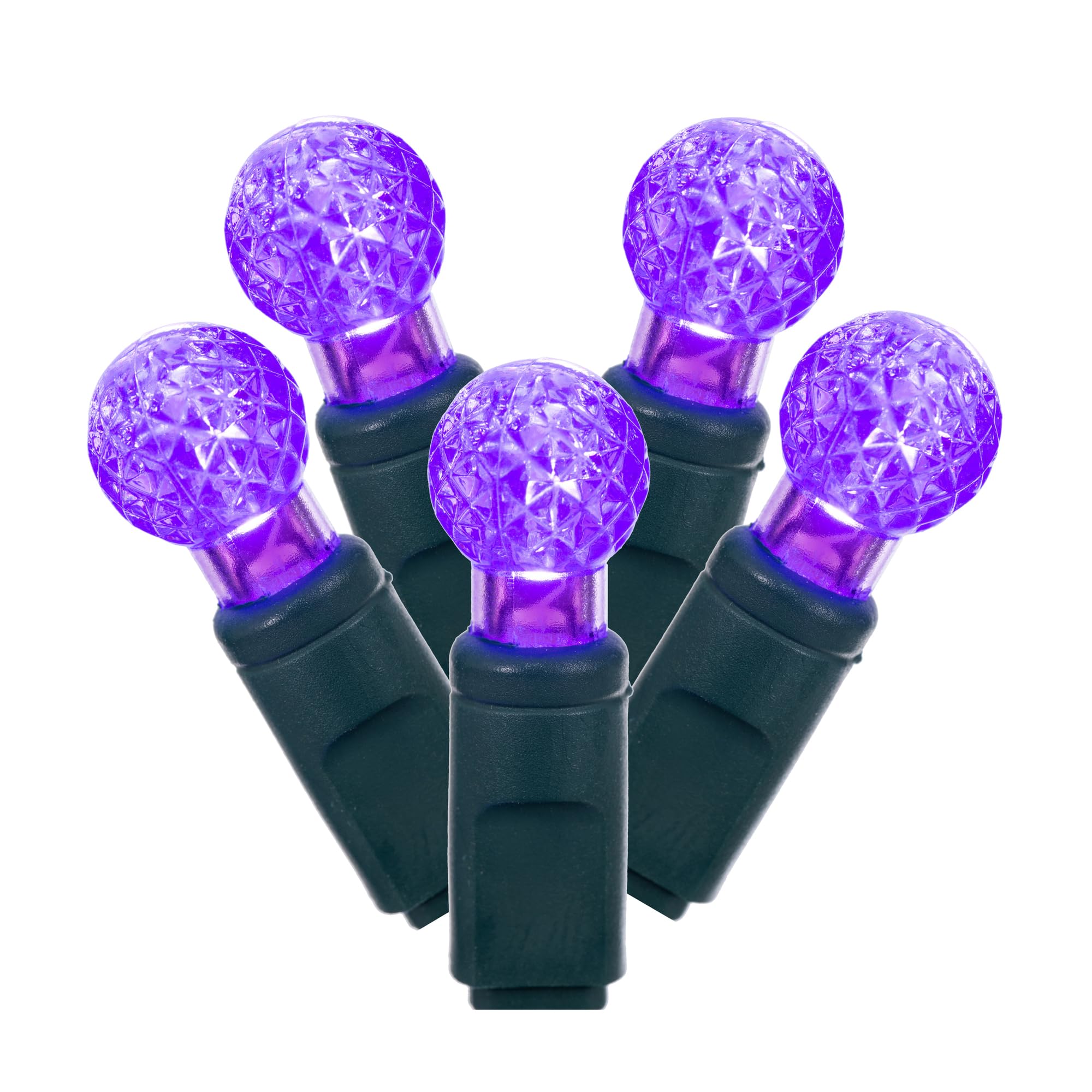 Conjunto De Luces Led Vickerman 100 Luces G12 Morado Con Cable Verde