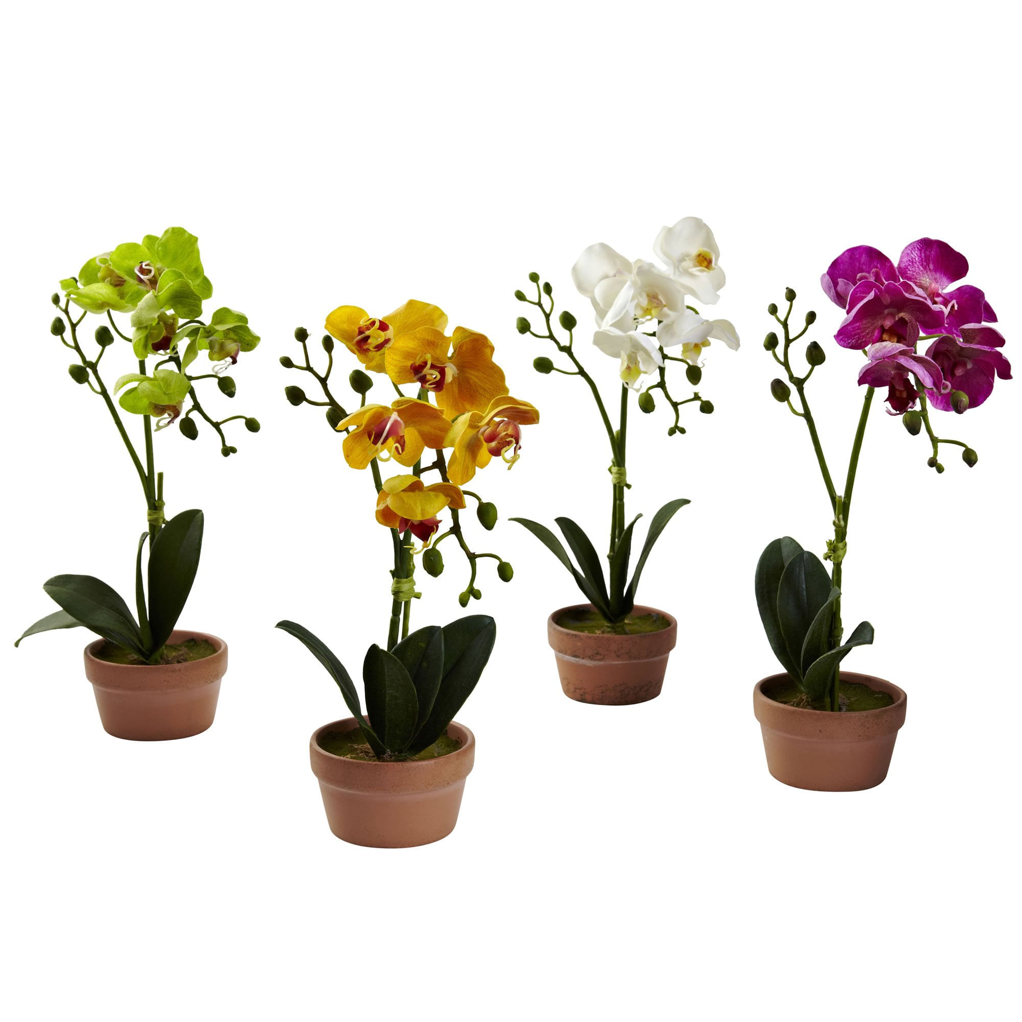 Conjunto De 4 Orquídeas Phalaenopsis Artificiales Muy Naturales