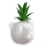 Vaso De Parede Cachepot Urso Branco Cerâmica