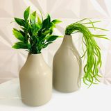 Conjunto vaso decorativo moderno em cerâmica com planta