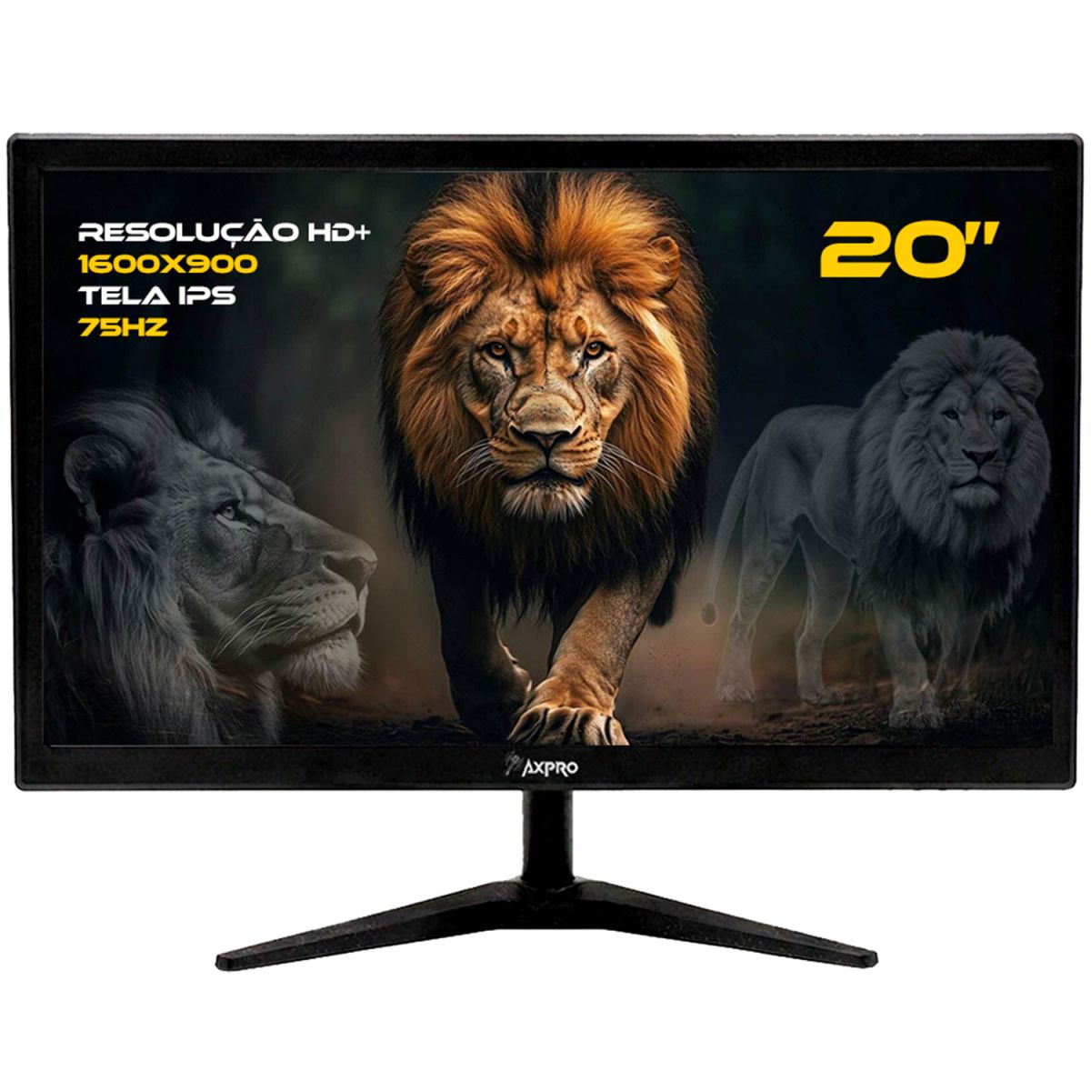 Monitor 20