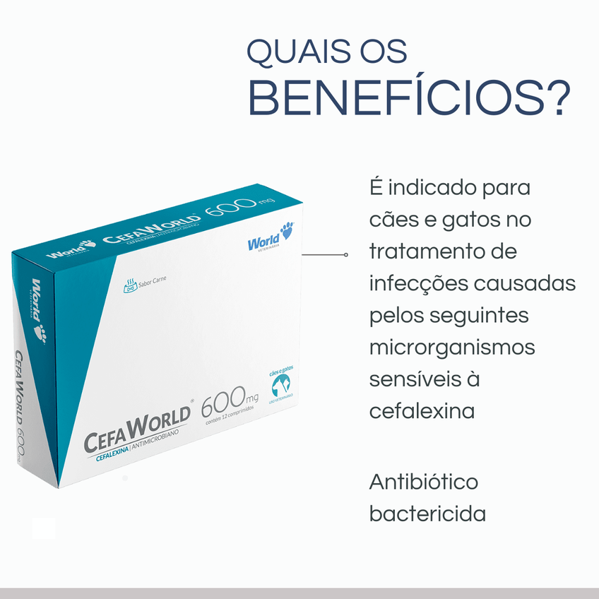 Cefaworld Antibiótico Amplo Espectro Cães Gatos World 600mg - imagem 2