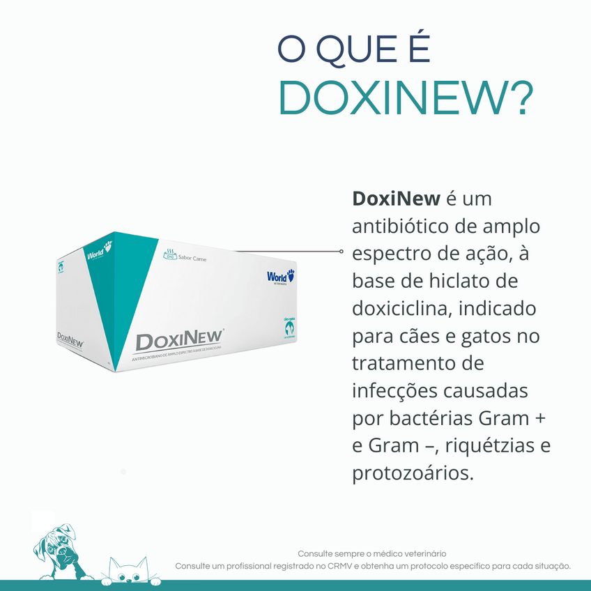 Doxinew Cães Gatos 10 Blisters C/ 14 Comprimidos World 100mg - imagem 2
