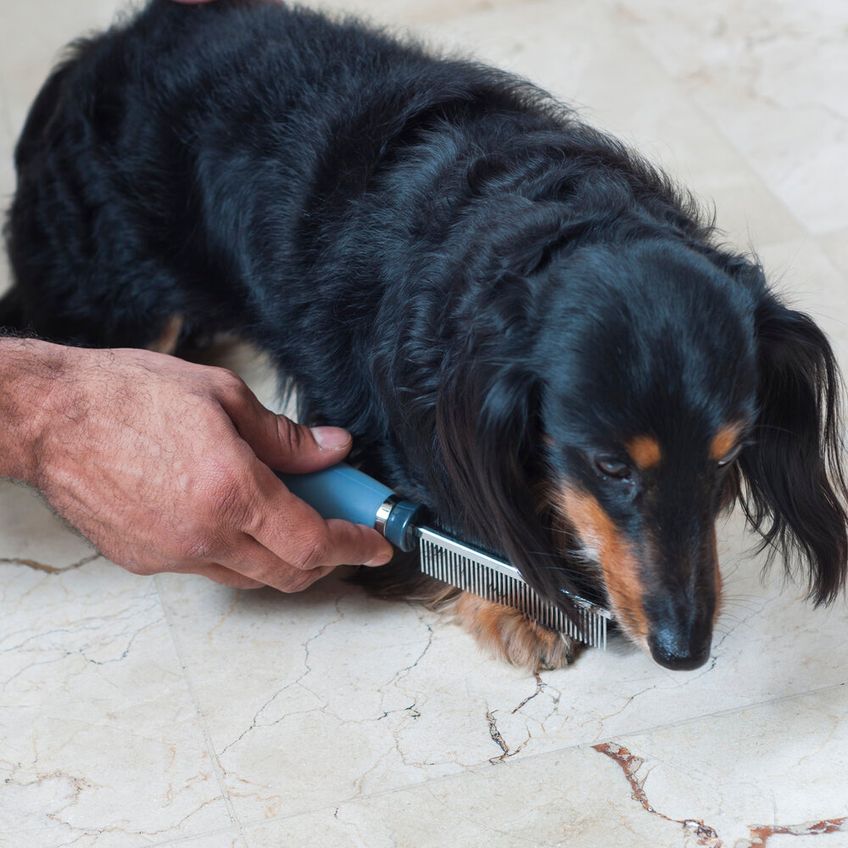 Pente Fino Cabo Gel Para Pelos Pet 40 Dentes - Germanhart - imagem 4