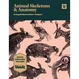 Animal Skeletons and Anatomy