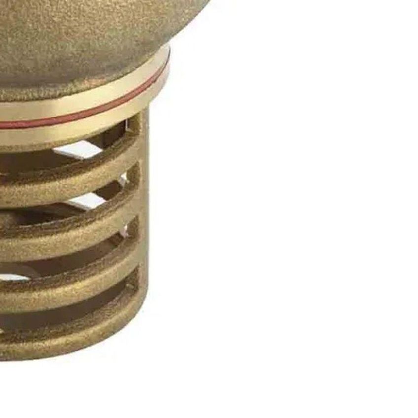 Válvula De Sucção De Fundo De Poço 3/4 Polegada Com Crivo Latão Worker - imagem 4