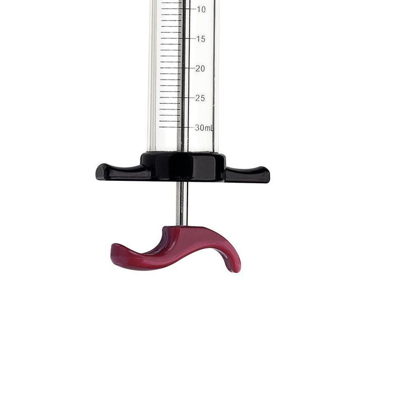 Injetor De Temperos 30ml Para Carnes Aço Inox Corpo Em Polipropileno Uso Em Churrasco - imagem 3