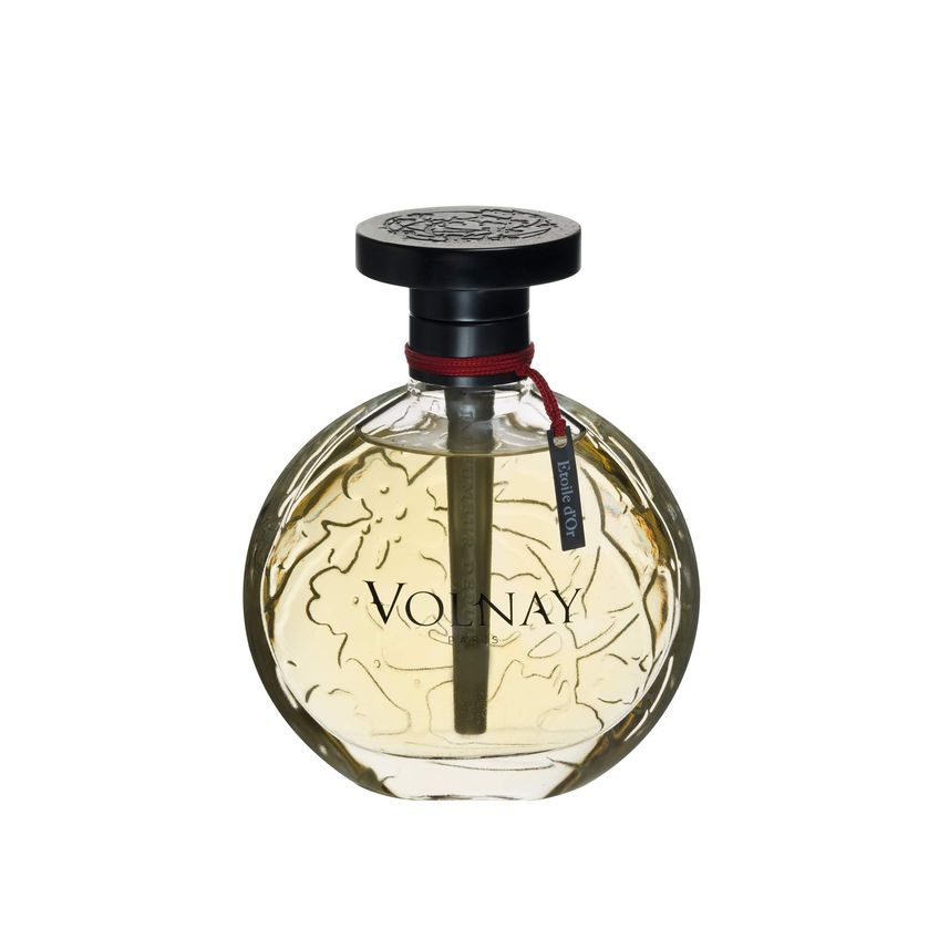 Perfume Volnay Etoile D'Or Eau De Parfum 100ml Para Mulheres - imagem 2