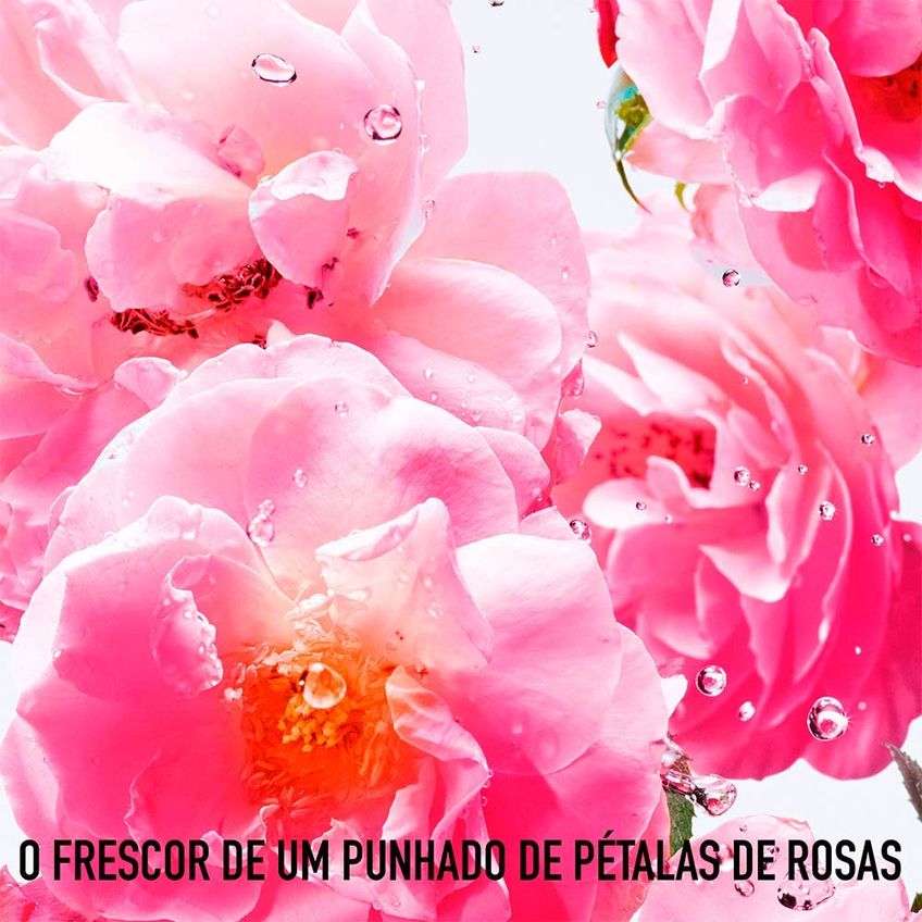 Perfume Christian Dior Miss Dior Rose Nroses Edt 100ml - imagem 2