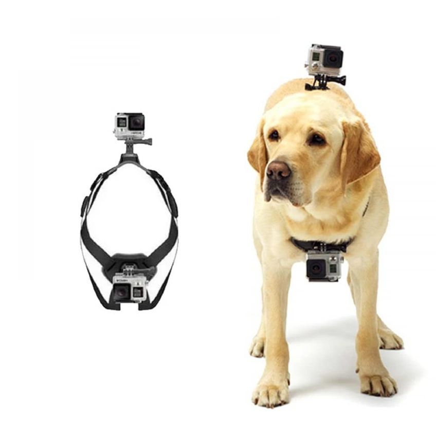 Arnês Para Cachorro Dke&ymq 7-54kg Para Gopro Hero - imagem 3