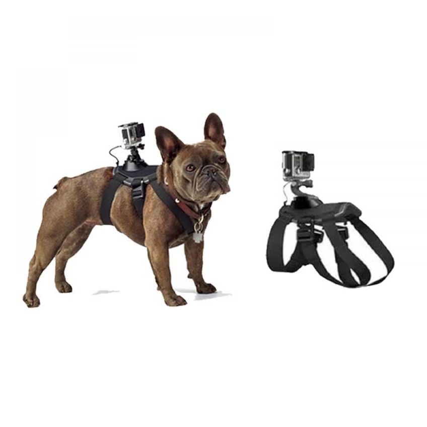 Arnês Para Cachorro Dke&ymq 7-54kg Para Gopro Hero - imagem 4