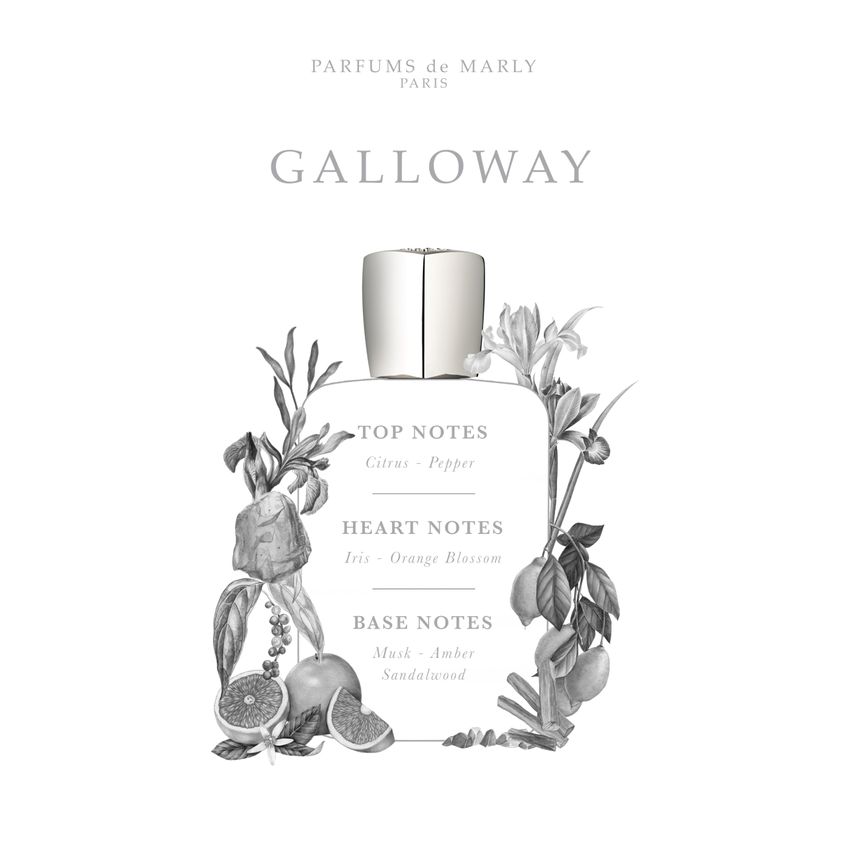 Perfume Parfums De Marly Galloway Eau De Parfum 75ml Para Homens - imagem 3