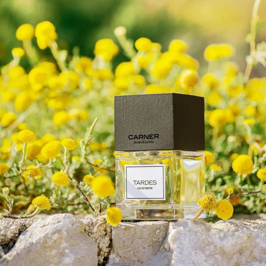 Perfume Carner Barcelona Tardes Eau De Parfum 100ml Para Mulheres - imagem 3