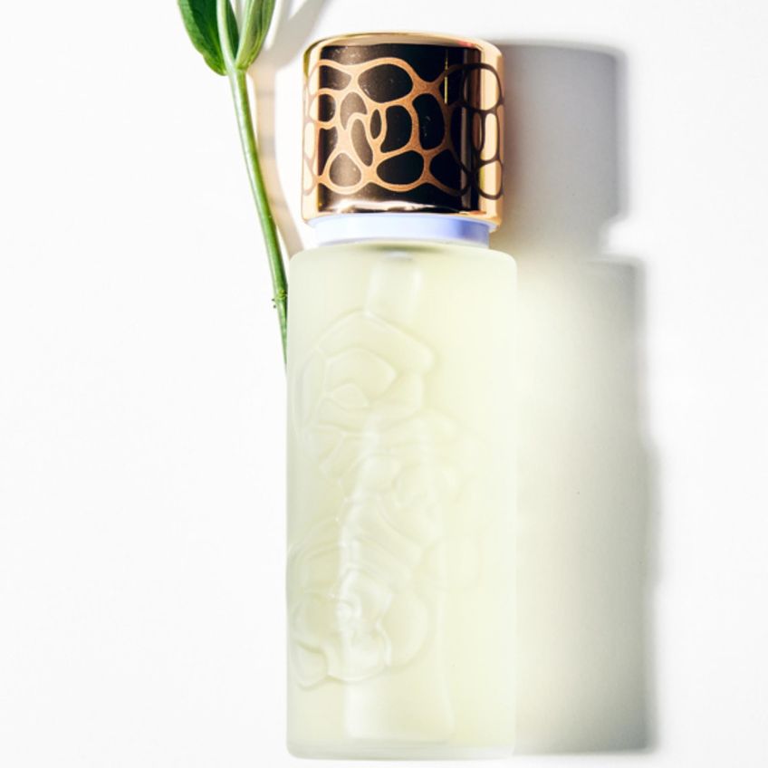Perfume Houbigant Quelques Fleurs L'Original Eau De Parfum 100ml - imagem 3