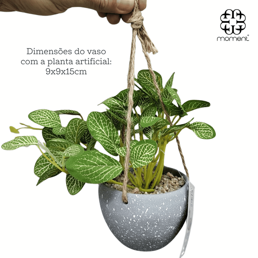 Vaso Com Fitônia Artificial 9x9x15 - Moment Moment (Clink) - imagem 3