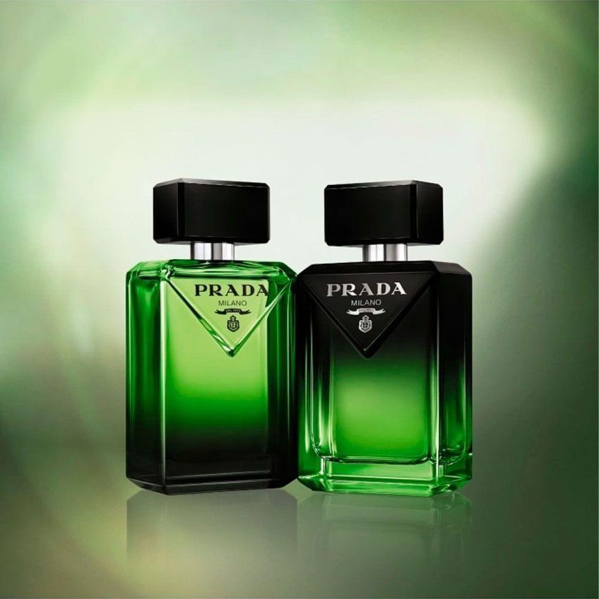 Perfume Prada Paradigme Le Parfum Masculino Eau De Parfum 50ml - imagem 3