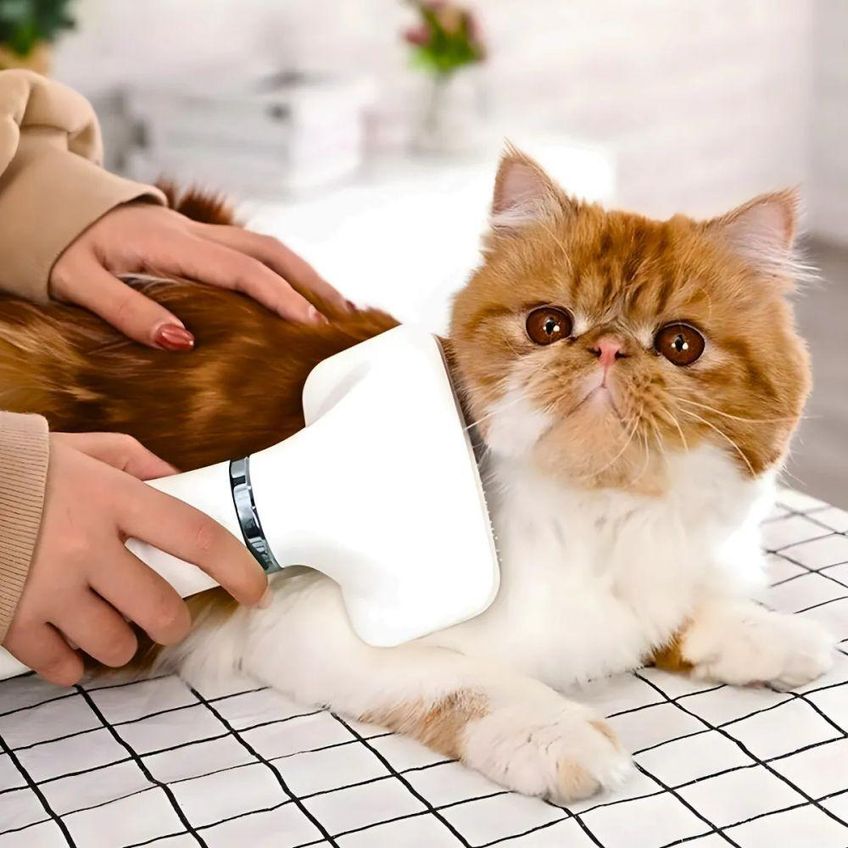 Secador Elétrico Com Escova Para Pets Utimix 2 Em 1 Removedor De Pelos 300w 110v Único - imagem 3