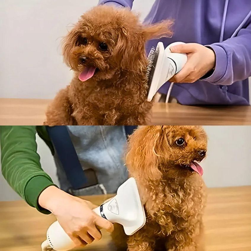 Secador Elétrico Com Escova Para Pets Utimix 2 Em 1 Removedor De Pelos 300w 110v Único - imagem 5