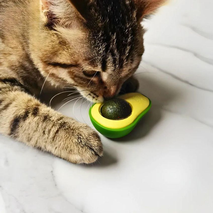 Brinquedo Para Gato Com Catnip Utimix Interativo Pelúcia Com Bolinha Plástico Único 1 Estrutura - imagem 3
