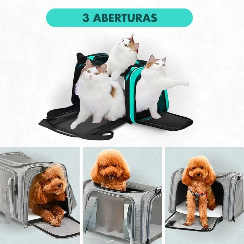 Bolsa De Transporte Para Pet Utimix Cães E Gatos Viagem Respirável Verde Tamanho Único - imagem 3