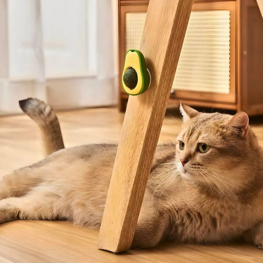 Brinquedo Para Gatos Com Catnip Utimix Interativo Abacate Plástico Único Com Bolinha Erva Do Gato 1 - imagem 3