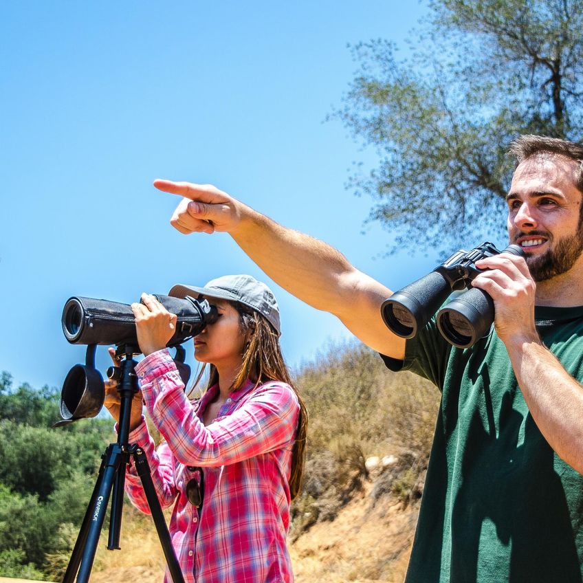 Telescope Barska 20-60x65mm À Prova D'água Com Suporte Para Tripé - imagem 3
