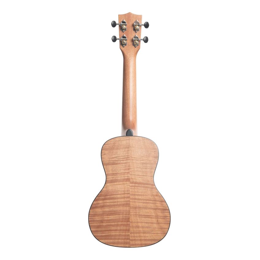 Ukulele Kala Concert De Abeto Sólido E Mogno Exótico - imagem 4