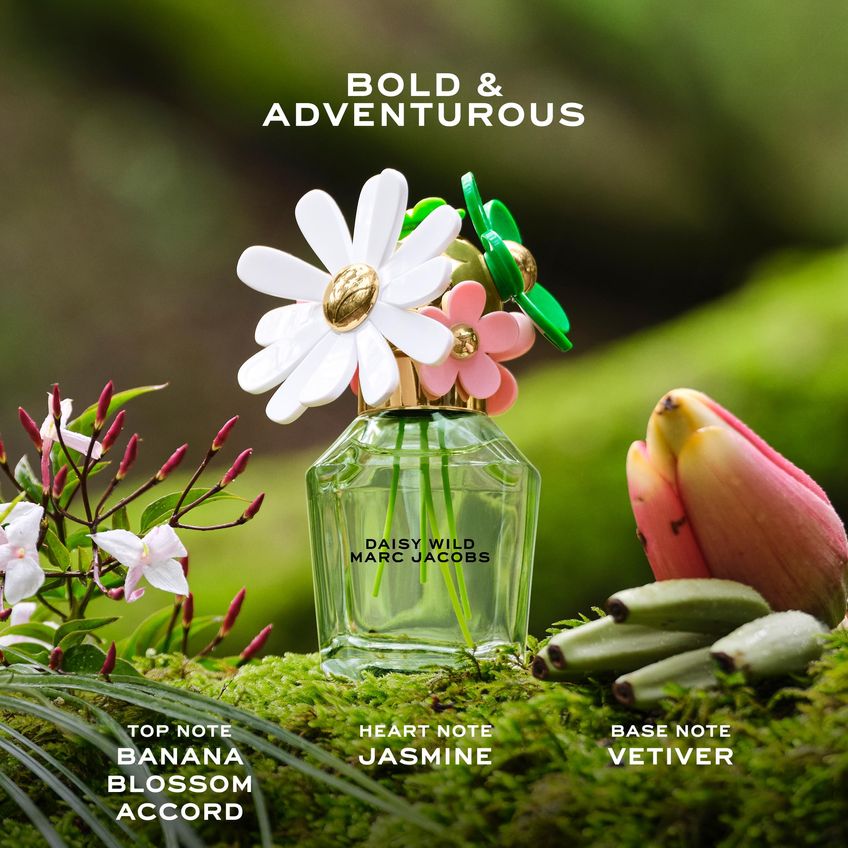 Conjunto De Perfume Marc Jacobs Daisy Wild Eau De Parfum 3 Peças - imagem 3