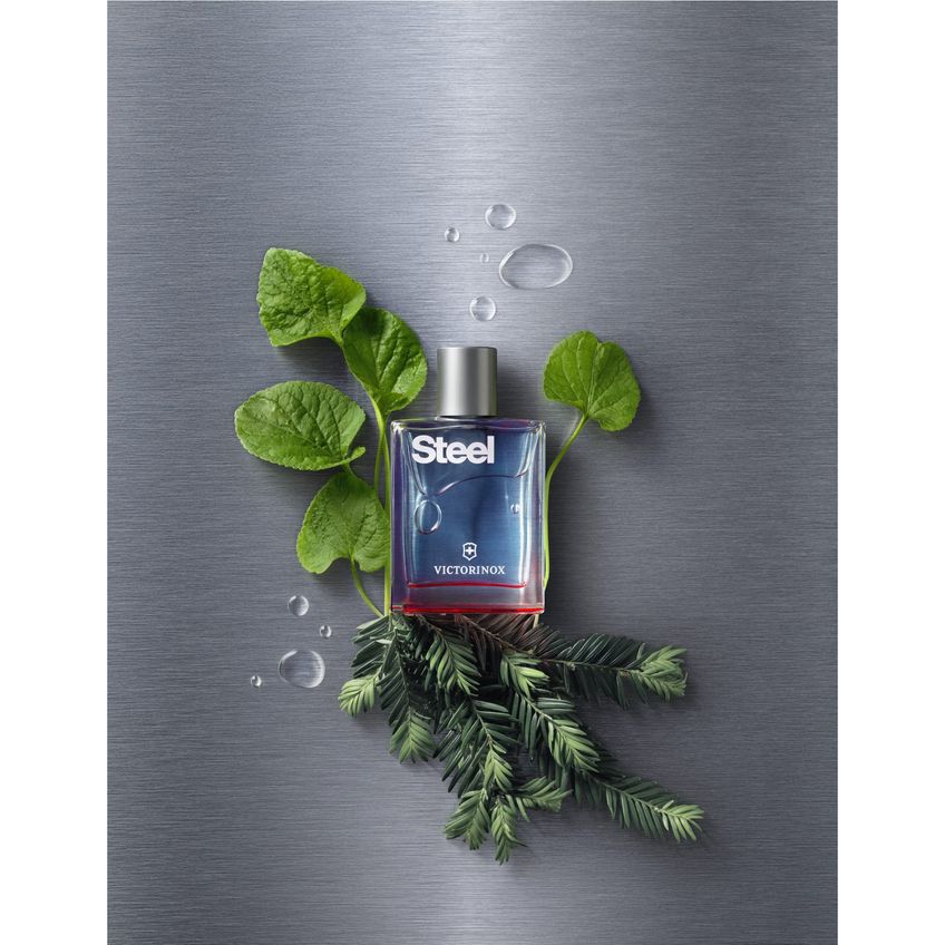 Perfume Victorinox Swiss Army Steel Edt 100ml Para Homens - imagem 3