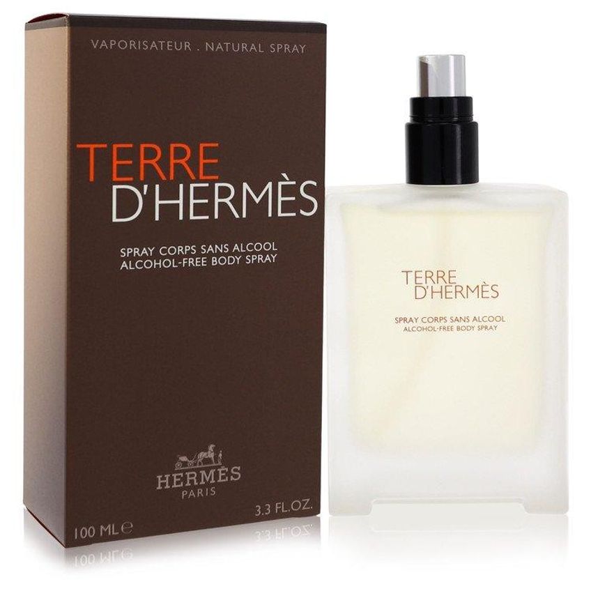 Perfume Masculino Terre D'Hermes Hermes 100 Ml Desodorante - imagem 2