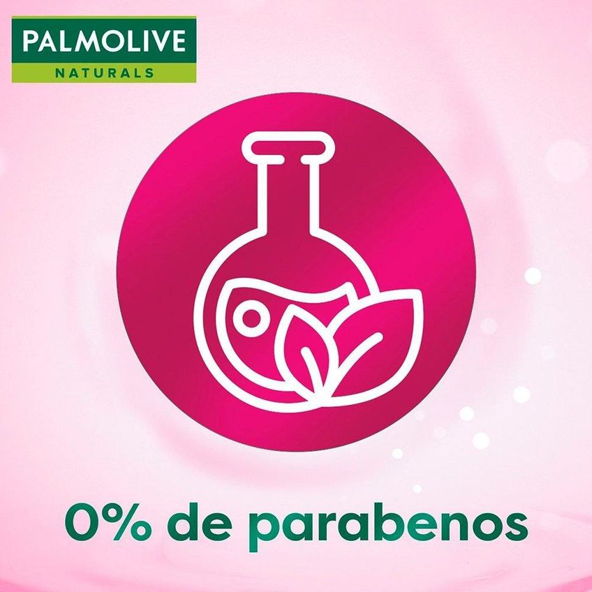 Kit Shampoo E Condicionador Palmolive Naturals Ceramidas Force 315ml - imagem 5