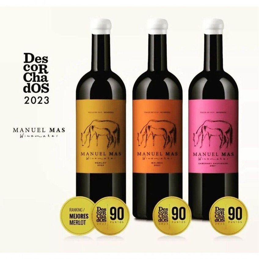 Vinho Tinto Seco Argentina Manuel Más Cabernet Sauvignon 750ml - imagem 2