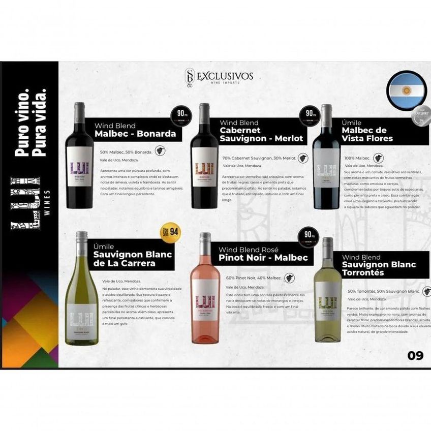 Vinho Rosé Mendoza Argentina Lui Wind Blend 750ml - imagem 2