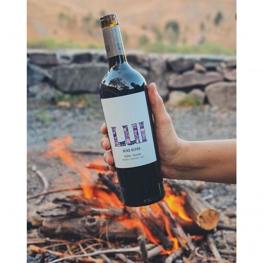 Vinho Tinto Seco Mendoza Lui Wind Blend Malbec Bonarda 750ml - imagem 2