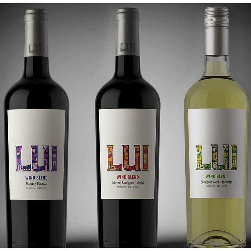 Vinho Tinto Seco Mendoza Lui Wind Blend Malbec Bonarda 750ml - imagem 3